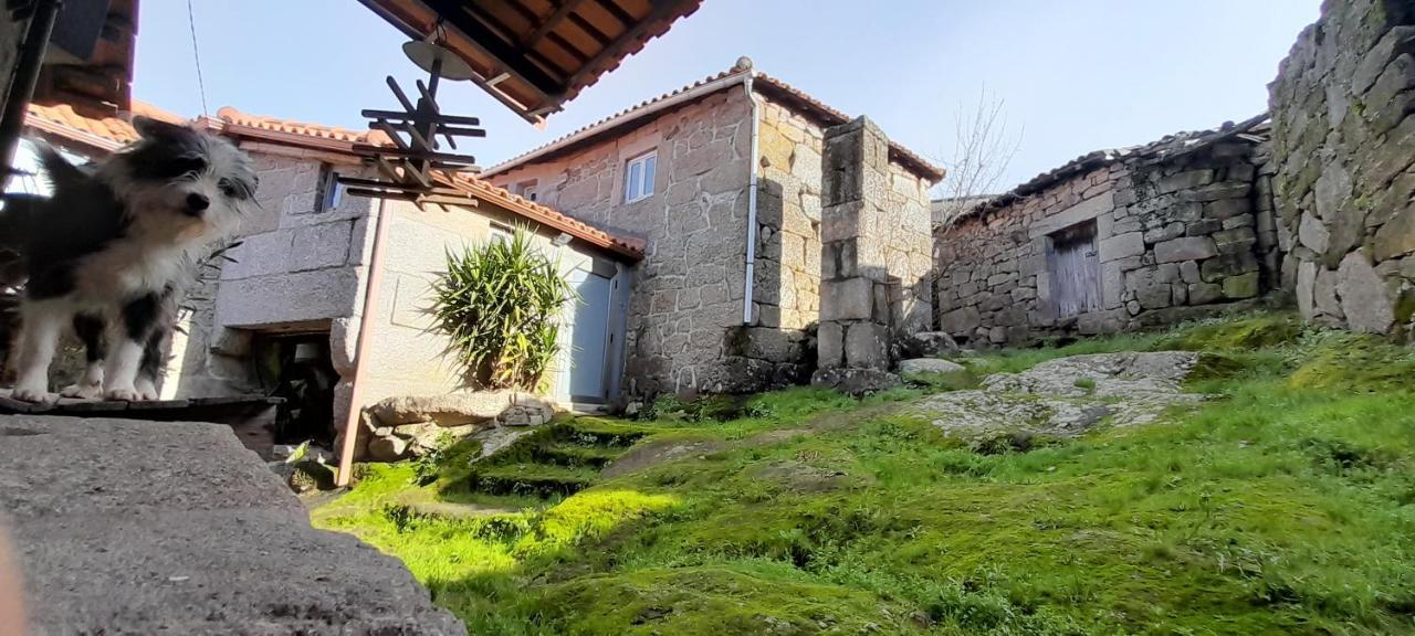 Vakantiehuis Casa Padre Manuel Do Couto