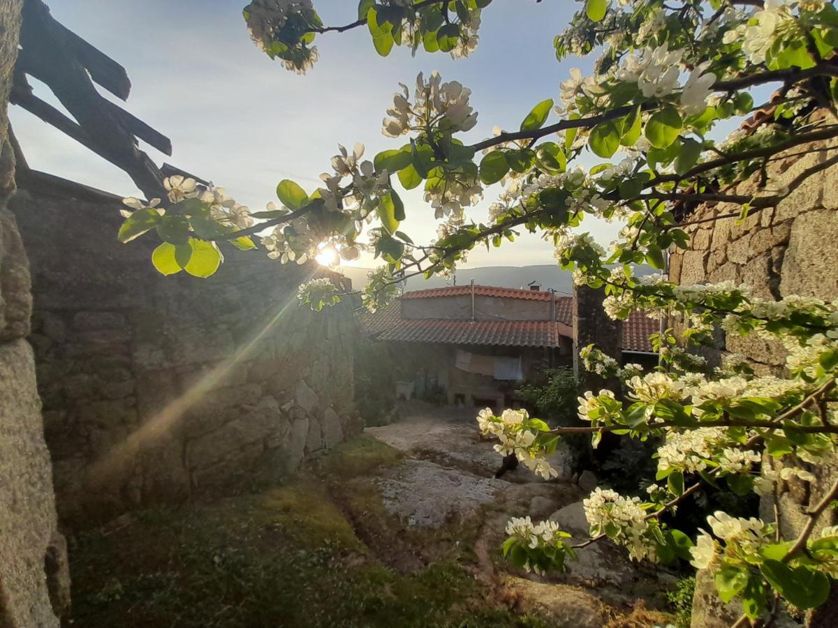 Casa Padre Manuel Do Couto Holiday home *